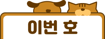 전체보기