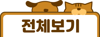 전체보기