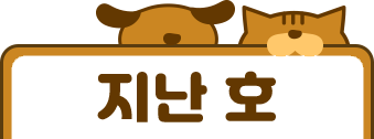 전체보기