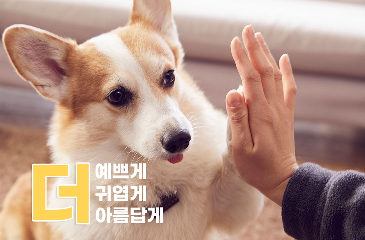 인사말
